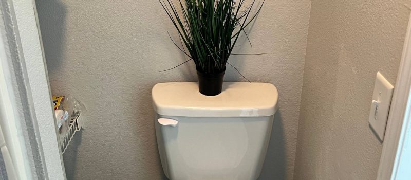 Untitled-design-copy